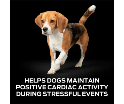 Purina Pro Plan Veterinary Supplements Calming Care - 1 box (30 sachets)