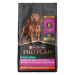 Purina Pro Plan Development Puppy Sensitive Skin & Stomach Salmon & Rice Formula Dog Food