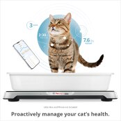 A cat using the Petivity Smart Litter Box Monitor with the text: Proactively manage your cat's health.