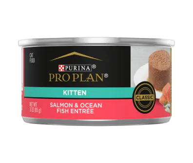 Purina Pro Plan Wet Kitten Food Pate, Salmon and Ocean Fish Entree
