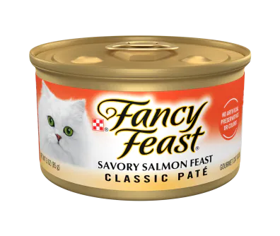 are rope dog toys safe for dogs Playology Dri-Tech Rope Dog Toy Beef Medium main image 1