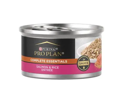 Complete Essentials Salmon & Rice Wet Cat Food | Shop Purina