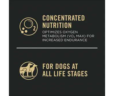 Sport Performance 30/20 All Life Stages Chicken & Rice Dry Dog
