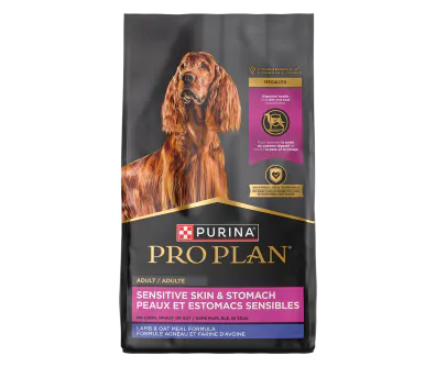 Specialized Sensitive Skin & Stomach Lamb & Oat Meal Dry Dog Food
