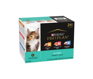 Kitten Wet Cat Food Variety Pack 24 Count