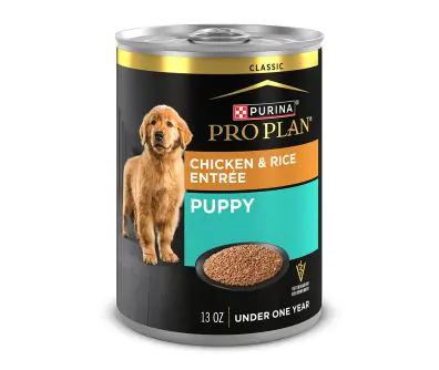 Pro Plan Chicken & Rice Paté Wet Puppy Food | Shop Purina