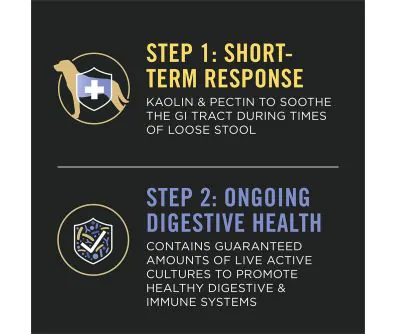 PPVS FortiFlora Canine Diarrhea Kit