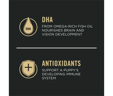 Dog food package label highlighting 'Antioxidants' and 'DHA'