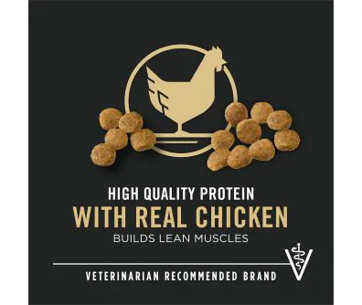 Dog food package label highlighting 'High Quality Protein' and 'Veterinarian Recommended Brand'