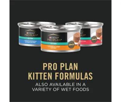 Pro Plan Complete Essentials Kitten Chicken & Rice Dry Food | Shop
