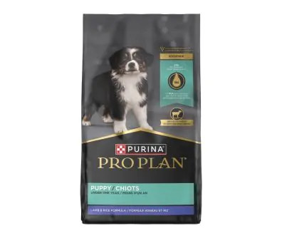 Pro Plan Development Lamb & Rice Dry Puppy Food | Shop Purina