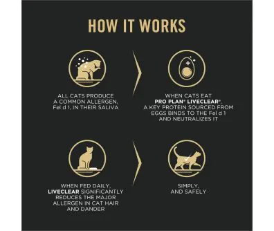 Pro Plan LiveClear Chicken Dry Kitten Food | Shop Purina