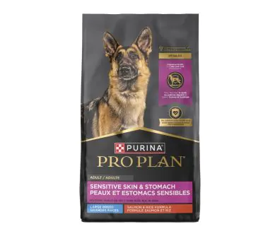 cat food online purina one Purina