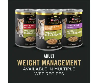 auto cat litter box australia SmartCat Automatic Litter Box – Jolly Box main image 0