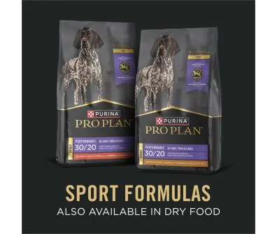 Pro Plan High Protein Beef & Bison Wet Dog Food | Shop Purina