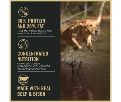 special kitty cat food wet The Honest Kitchen Grain-Free Minced Turkey, Chicken & Duck in Bone Broth Gravy Wet Cat Food, 5.5-oz, Case of 12